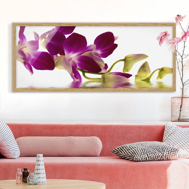 Ingelijste posters Pink Orchid Waters