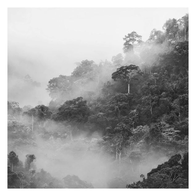 Fotobehang Jungle In The Fog Black And White