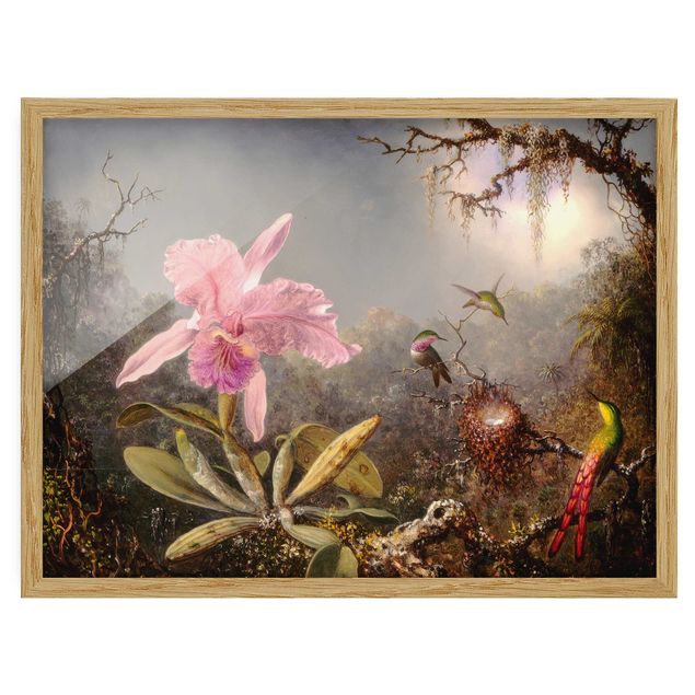 Ingelijste posters Martin Johnson Heade - Orchid And Three Hummingbirds