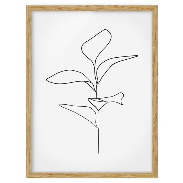 Ingelijste posters Line Art Plant Leaves Black And White