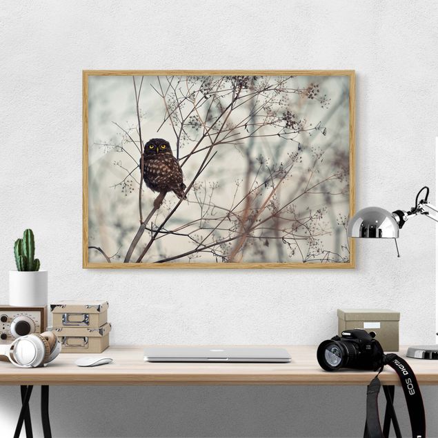 Ingelijste posters Owl In The Winter