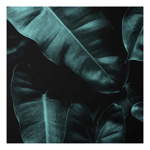 Glasschilderijen Jungle Leaves Dark Green