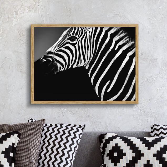 Ingelijste posters Zebra Safari Art