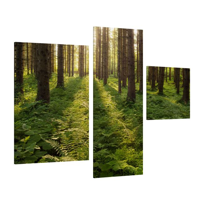 Canvas schilderijen - 3-delig Sun Rays In Green Forest