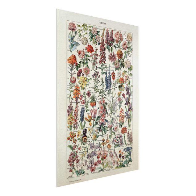 Glasschilderijen Vintage Board Flowers V