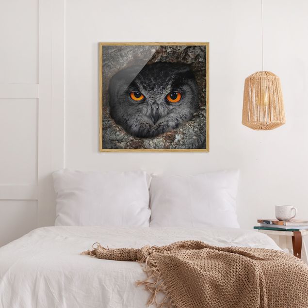 Ingelijste posters Watching Owl