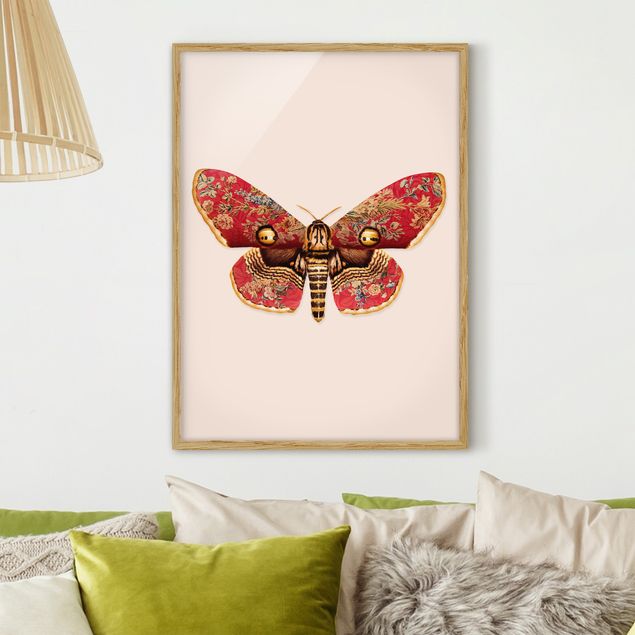 Ingelijste posters Vintage Moth