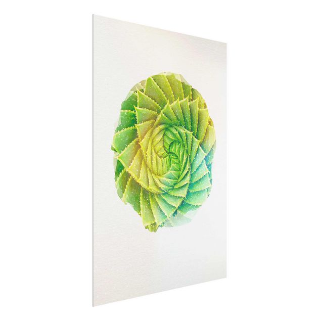 Glasschilderijen WaterColours - Spiral Aloe