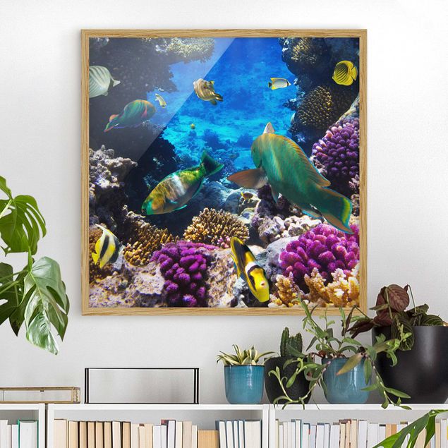 Ingelijste posters Underwater Dreams