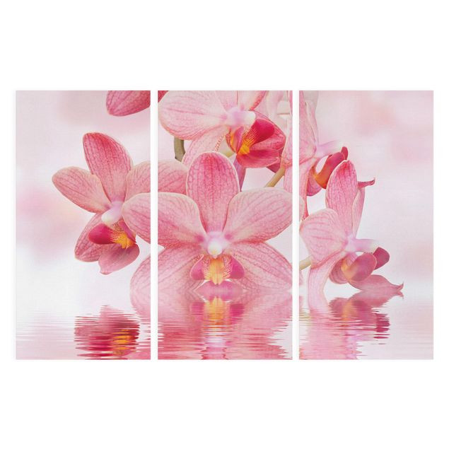 Canvas schilderijen - 3-delig Light Pink Orchid On Water