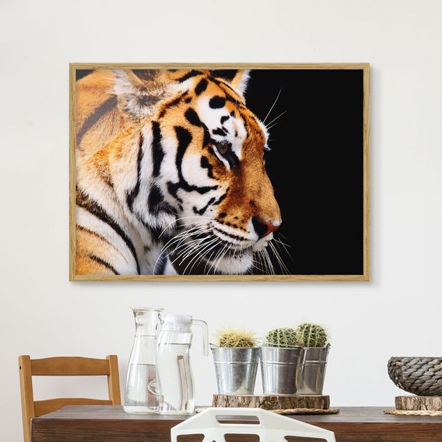 Ingelijste posters Tiger Beauty