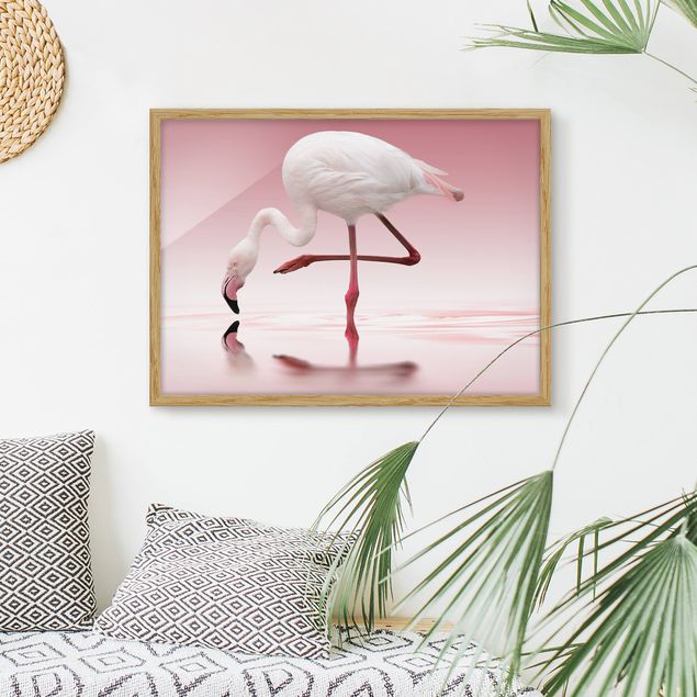 Ingelijste posters Flamingo Dance