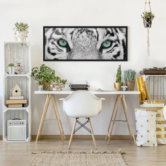 Ingelijste posters White Tiger