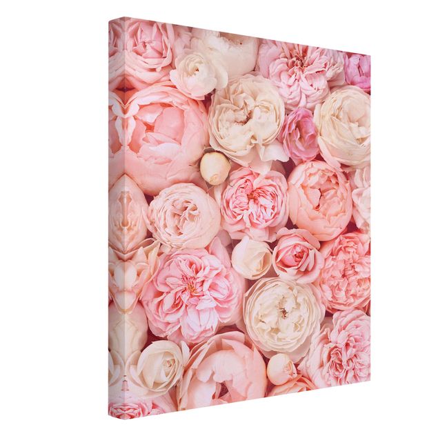 Canvas schilderijen Roses Rosé Coral Shabby