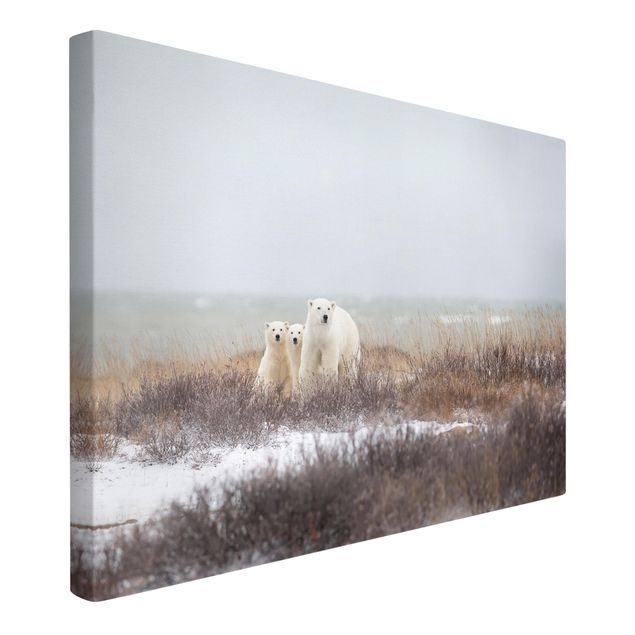 Canvas schilderijen Polar Bear And Her Cubs