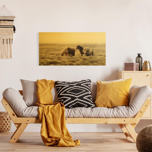 Canvas schilderijen - Goud Wild Icelandic Horse