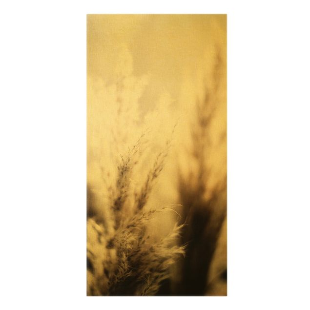 Canvas schilderijen - Goud Pampas Grass In The Shadow