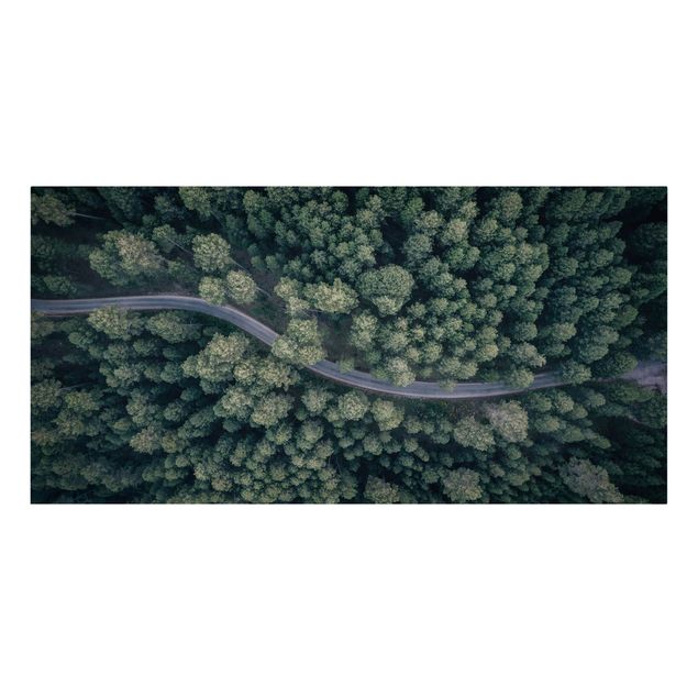 Canvas schilderijen Aerial View - Forest Road From The Top