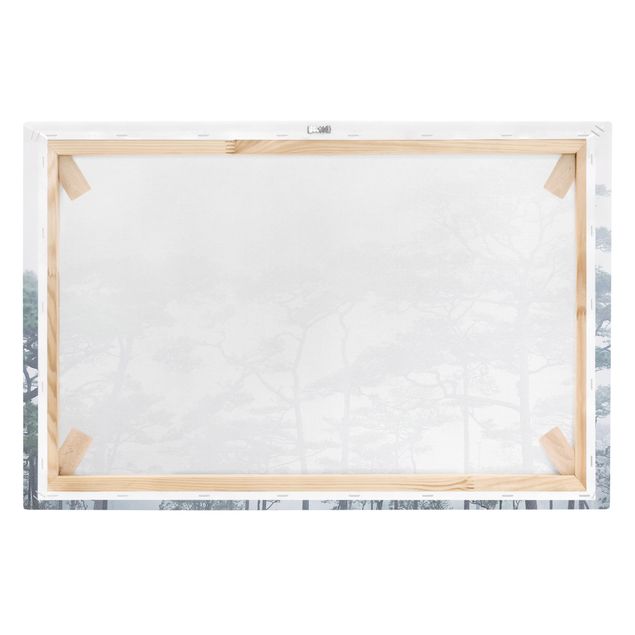 Canvas schilderijen Treetops In Fog