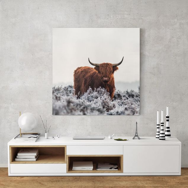 Canvas schilderijen Bison In The Highlands