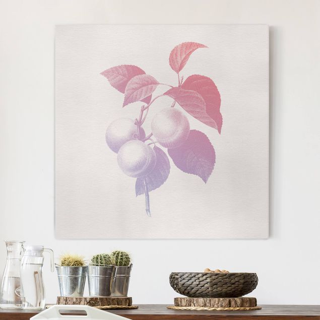 Canvas schilderijen Modern Vintage Botanik Peach Light Pink Violet