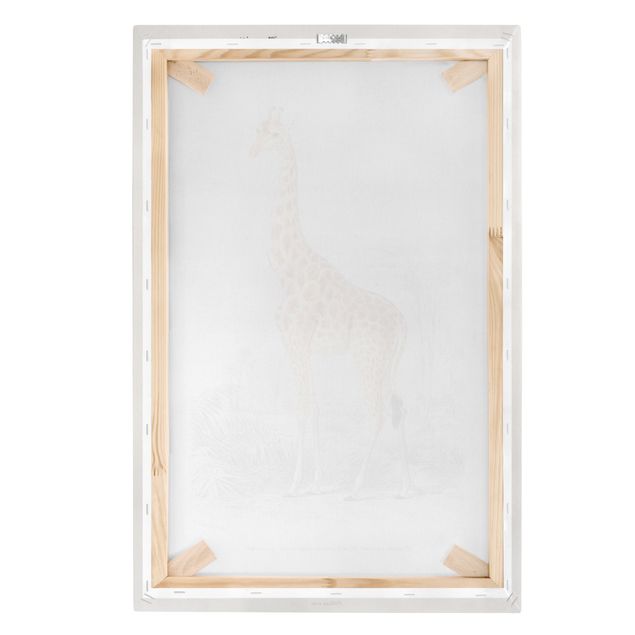 Canvas schilderijen Vintage Board Giraffe