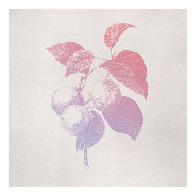 Canvas schilderijen Modern Vintage Botanik Peach Light Pink Violet