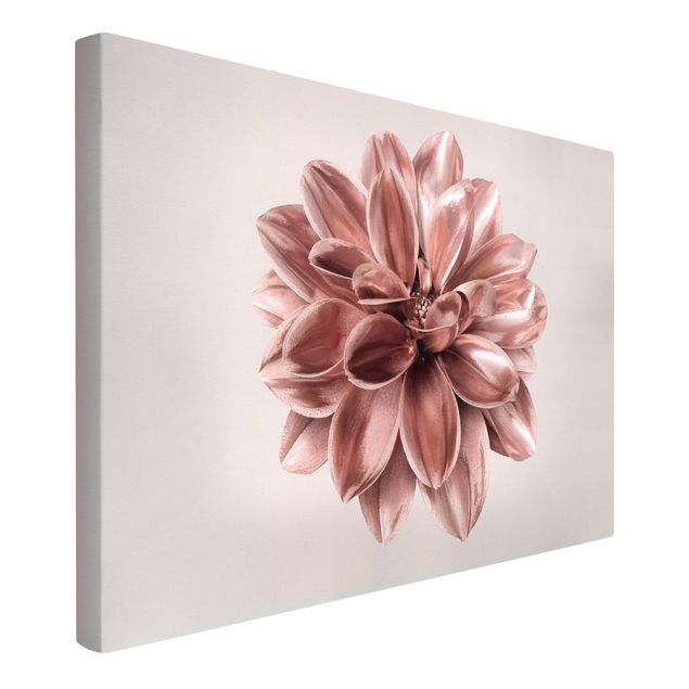 Canvas schilderijen Dahlia Flower Pink Gold Metallic