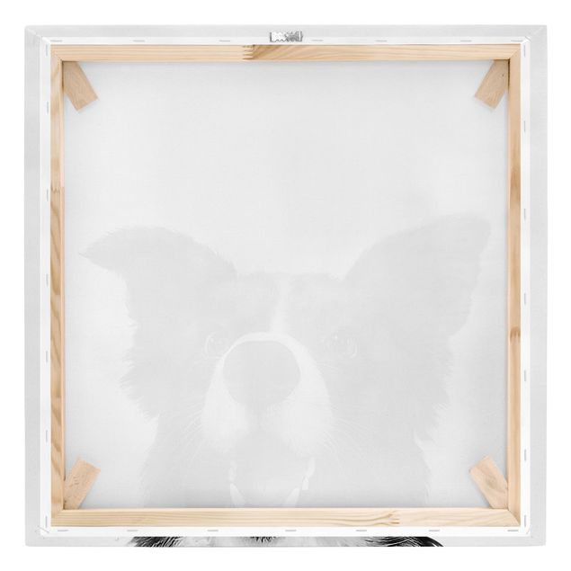 Canvas schilderijen Illustration Dog Border Collie Black And White Painting