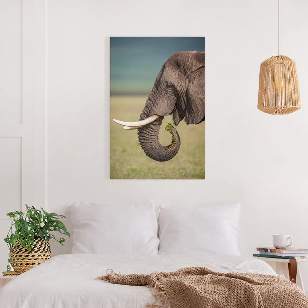 Canvas schilderijen Feeding Elephants In Africa