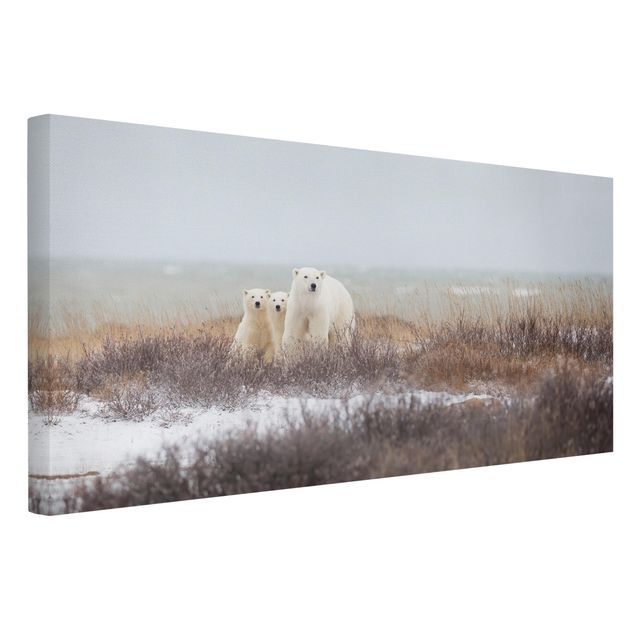 Canvas schilderijen Polar Bear And Her Cubs