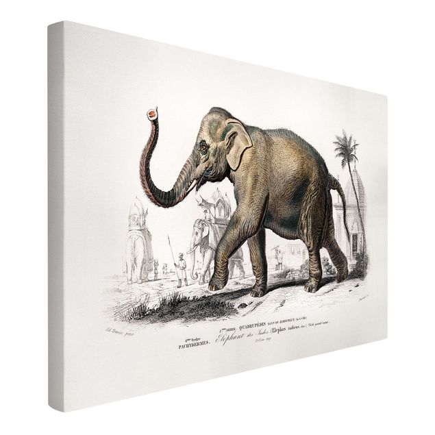 Canvas schilderijen Vintage Board Elephant