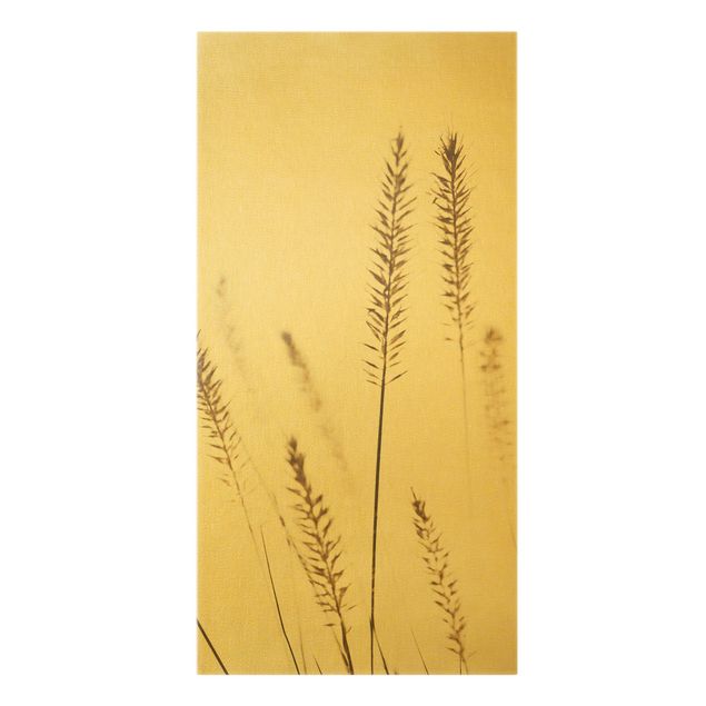 Canvas schilderijen - Goud Dried Cynosurus Cristatus