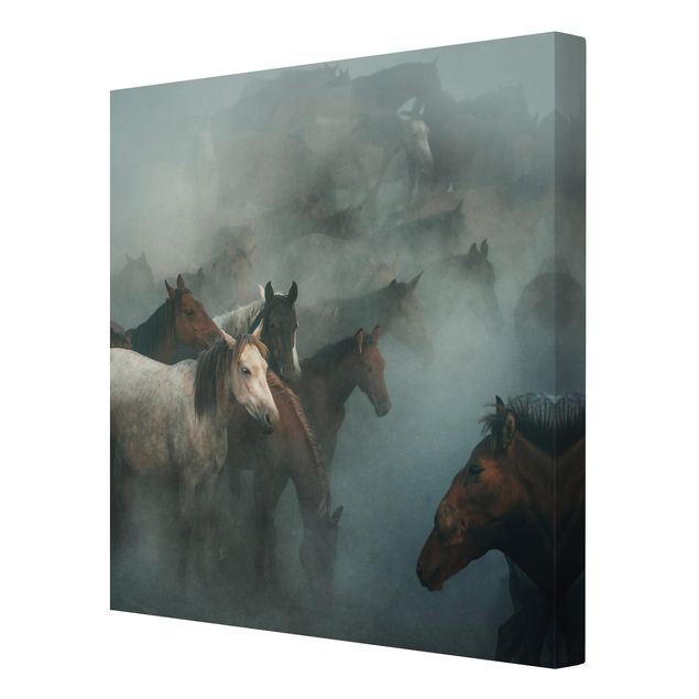 Canvas schilderijen Wild Horses