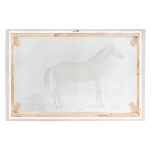 Canvas schilderijen Vintage Board Horse