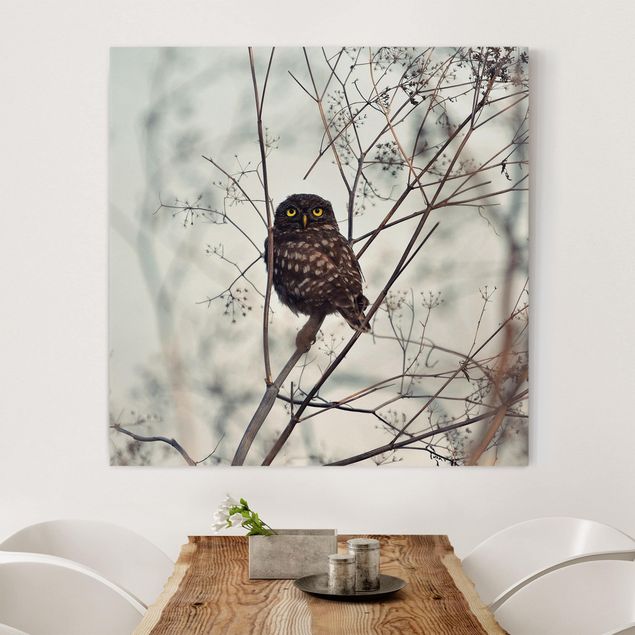 Canvas schilderijen Owl In The Winter