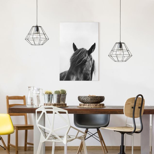 Canvas schilderijen Curious Horse