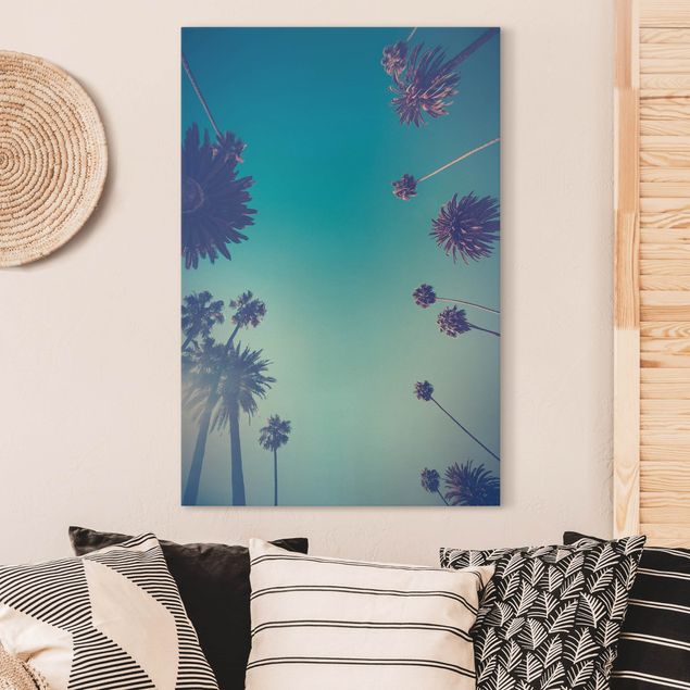 Canvas schilderijen Tropical Plants Palm Trees And Sky II