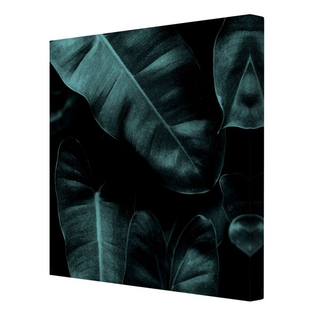 Canvas schilderijen Jungle Leaves Dark Green