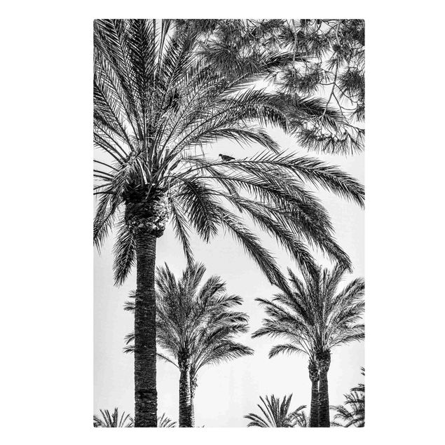 Canvas schilderijen Palm Trees At Sunset Black And White