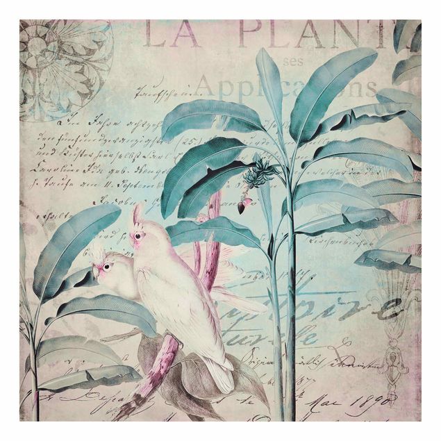 Canvas schilderijen Colonial Style Collage - Cockatoos And Palm Trees