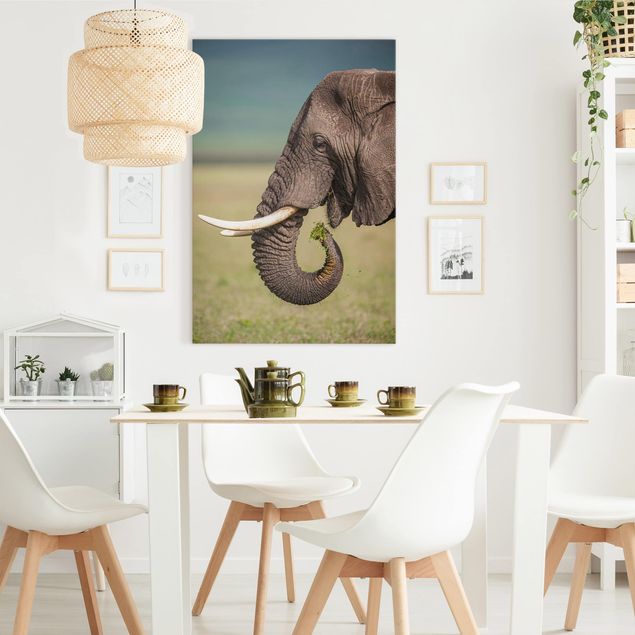 Canvas schilderijen Feeding Elephants In Africa