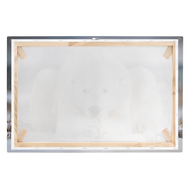 Canvas schilderijen Contemplative Polar Bear