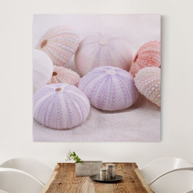 Canvas schilderijen Sea Urchin In Pastel