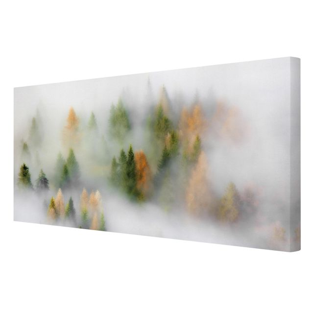 Canvas schilderijen Cloud Forest In Autumn