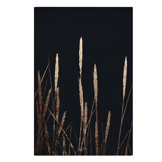 Canvas schilderijen Graphical Plant World - Golden Reed