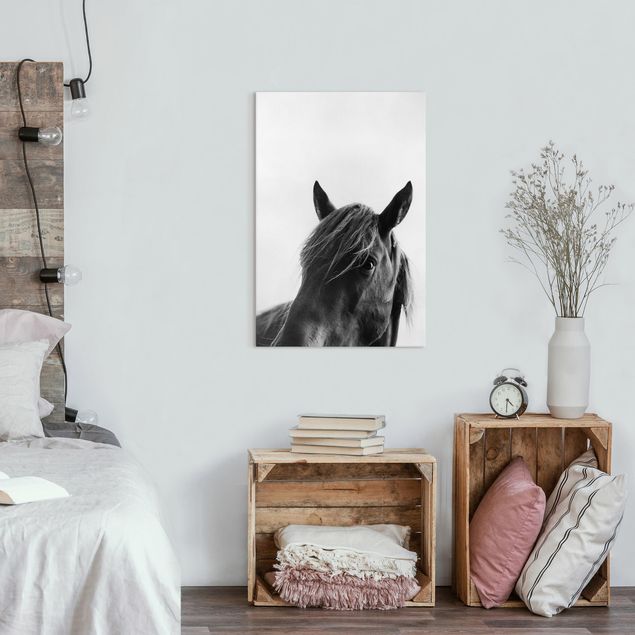 Canvas schilderijen Curious Horse