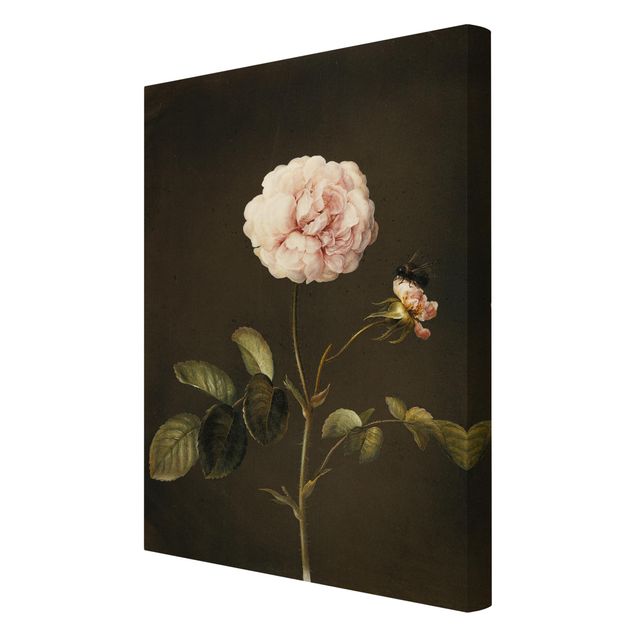 Canvas schilderijen Barbara Regina Dietzsch - French Rose With Bumblbee
