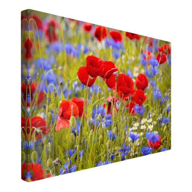 Canvas schilderijen Summer Meadow With Poppies And Cornflowers