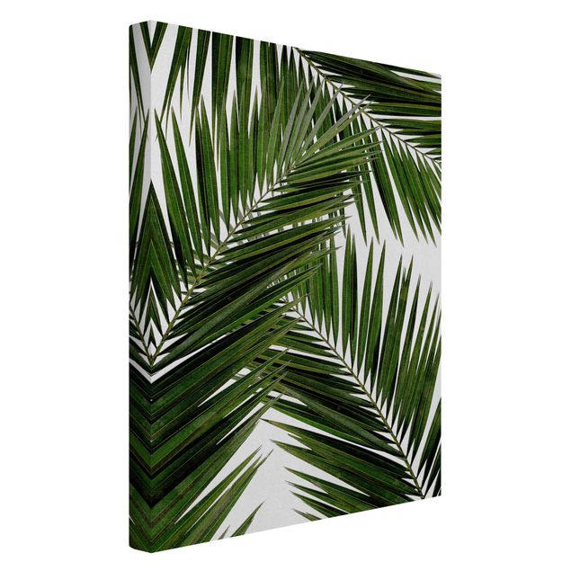 Canvas schilderijen View Through Green Palm Leaves